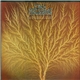 Van Der Graaf Generator - Still Life