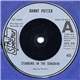 Danny Potter - Standing In The Sunshine / Red Bluff